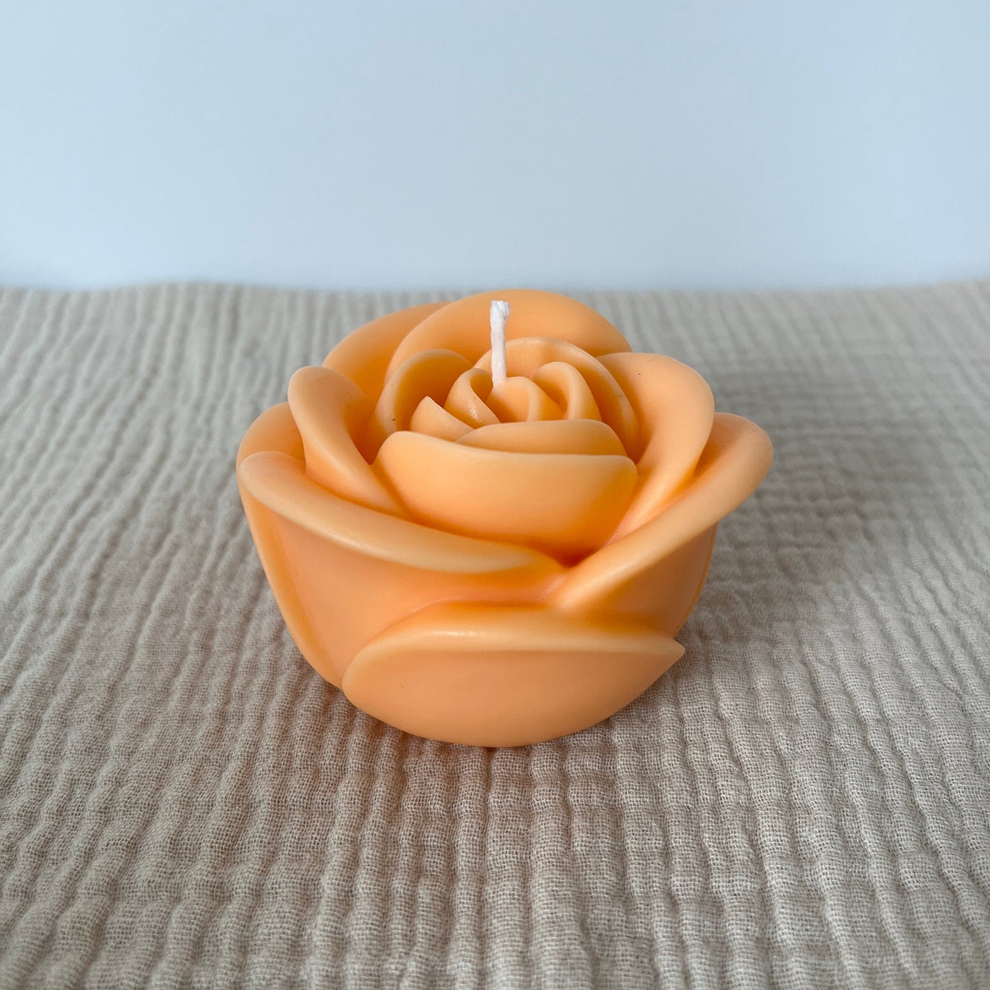 Apricotfarbene, große Rapswachskerze in Form einer Rose.