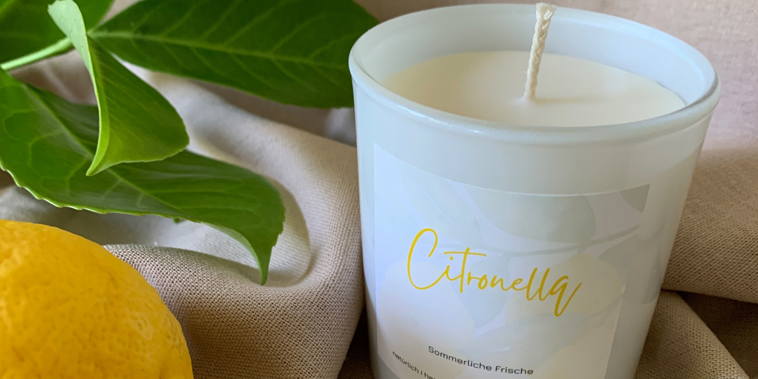 Citronella Kerzen: Sommerlicher Duft für entspannte Abende im Freien