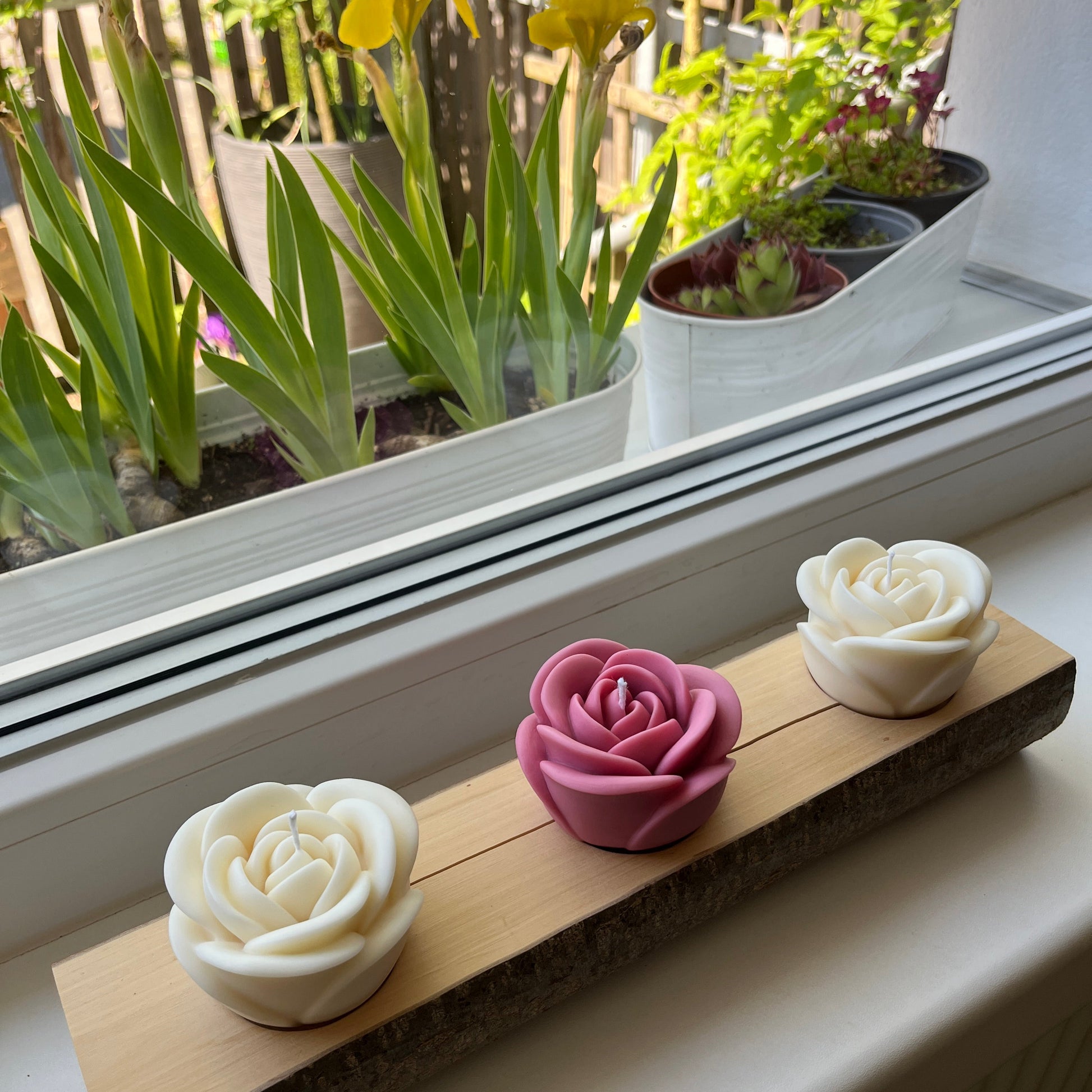 Drei große Rosenkerzen in cremeweiß und dunkelrose dekoriert auf einem länglichen Holzstamm.